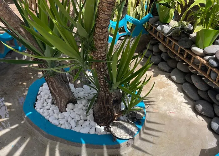 Апартаменты Casita Playa Americas 150m De La Playa Плая-де-лас-Америкас