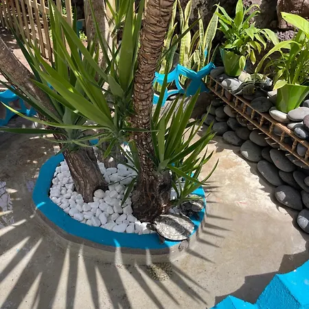 Appartement Casita Playa Americas 150m De La Playa Playa de las Américas